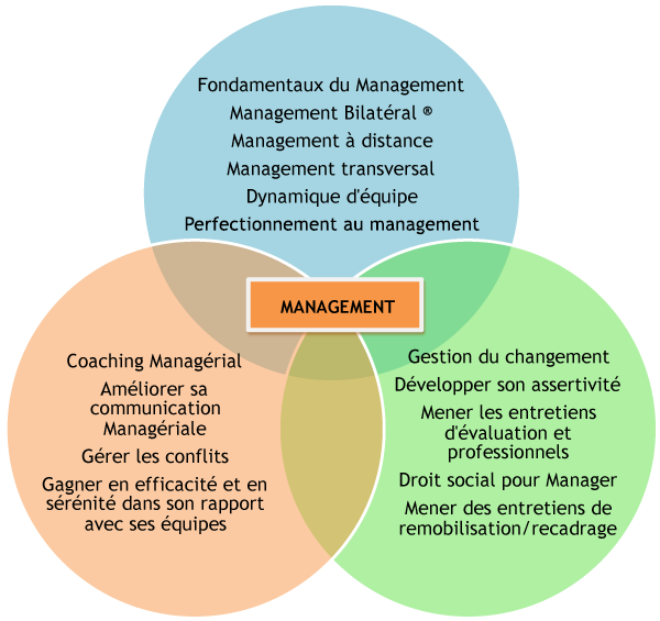 Eventail du management par Valéa
